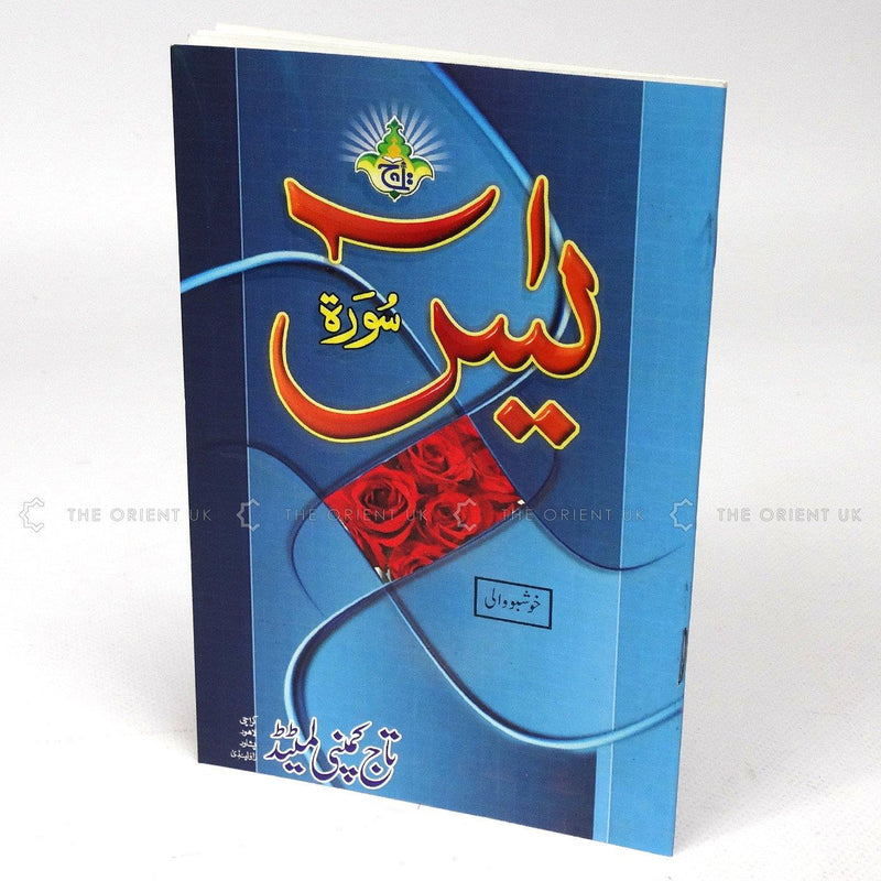 Surah Yasin 9 Lines Rose Smell Bold Letters Large Quran Surat Yaseen