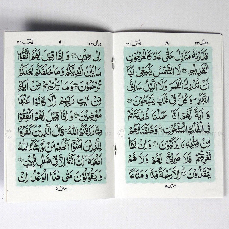 Surah Yasin 9 Lines Rose Smell Bold Letters Large Quran Surat Yaseen