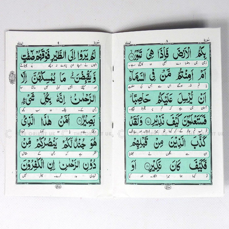 Surah Mulk 6 Lines With Urdu Translation Rose Smell Quran Surat