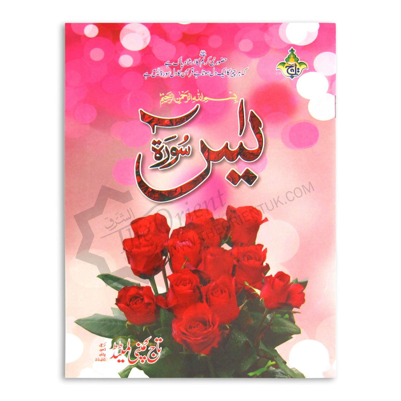 Surah Yasin 9 Lines Rose Smell Bold Letters Large Quran Surat Yaseen